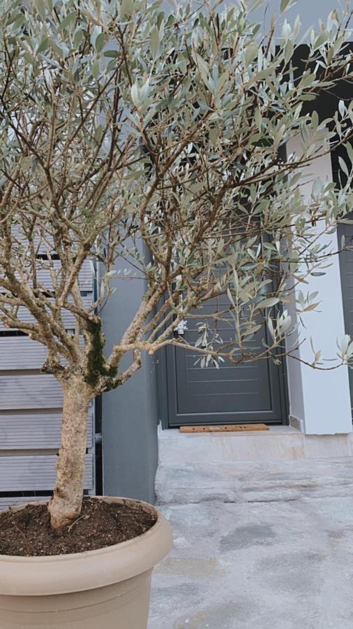 My Home Ioannina Exterior photo